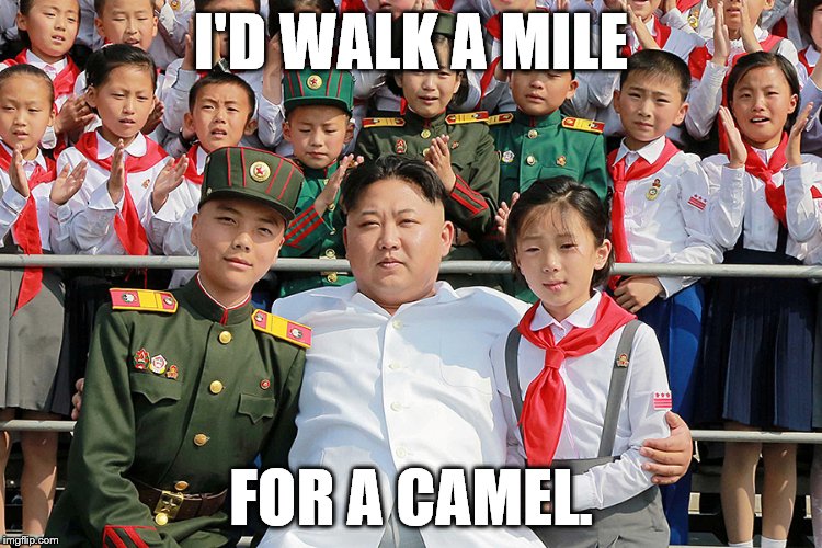 I'D WALK A MILE FOR A CAMEL. | made w/ Imgflip meme maker