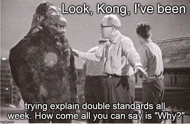 Kong with Director | Look, Kong, I've been trying explain double standards all week. How come all you can say is "Why?" | image tagged in kong with director | made w/ Imgflip meme maker
