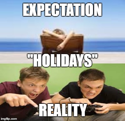 worlds biggest problem   jk NOT! | EXPECTATION; "HOLIDAYS"; REALITY | image tagged in video games,happy holidays | made w/ Imgflip meme maker