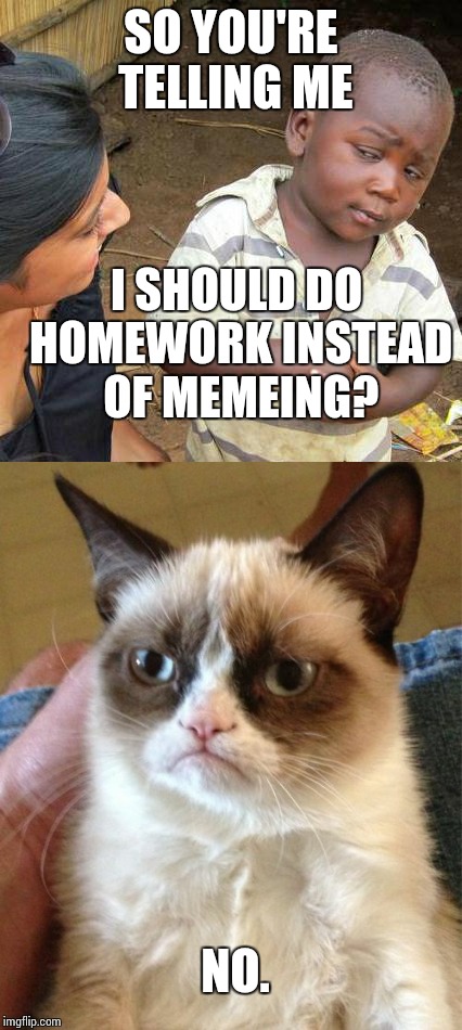 SO YOU'RE TELLING ME; I SHOULD DO HOMEWORK INSTEAD OF MEMEING? NO. | image tagged in school,memes | made w/ Imgflip meme maker