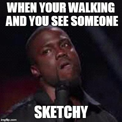 Kevin Hart Mad | WHEN YOUR WALKING AND YOU SEE SOMEONE; SKETCHY | image tagged in kevin hart mad | made w/ Imgflip meme maker