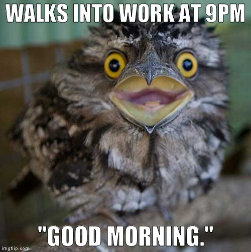 WALKS INTO WORK AT 9PM; "GOOD MORNING." | image tagged in nocturnal | made w/ Imgflip meme maker