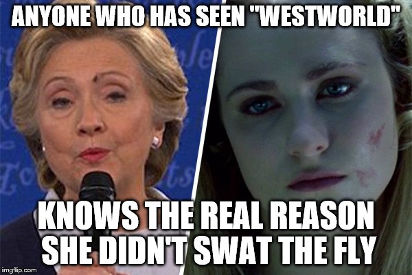 No Fly Zone | ANYONE WHO HAS SEEN "WESTWORLD"; KNOWS THE REAL REASON SHE DIDN'T SWAT THE FLY | image tagged in funny,politics,hillary clinton | made w/ Imgflip meme maker