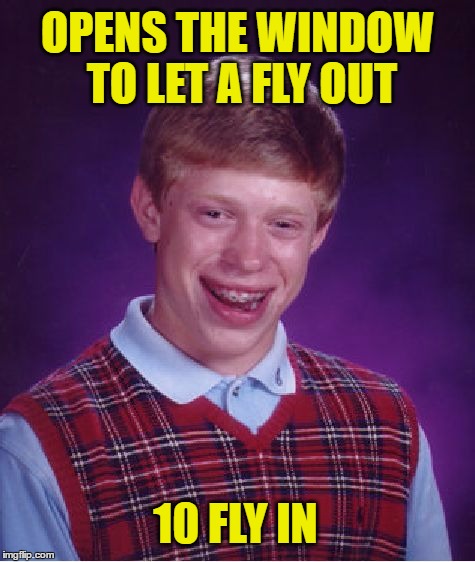 Bad Luck Brian Meme | OPENS THE WINDOW TO LET A FLY OUT; 10 FLY IN | image tagged in memes,bad luck brian | made w/ Imgflip meme maker