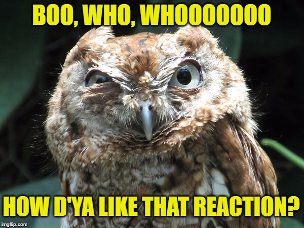 BOO, WHO, WHOOOOOOO HOW D'YA LIKE THAT REACTION? | made w/ Imgflip meme maker