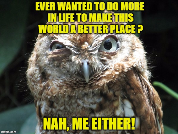 EVER WANTED TO DO MORE IN LIFE TO MAKE THIS WORLD A BETTER PLACE ? NAH, ME EITHER! | image tagged in ornery owl,memes,owl | made w/ Imgflip meme maker