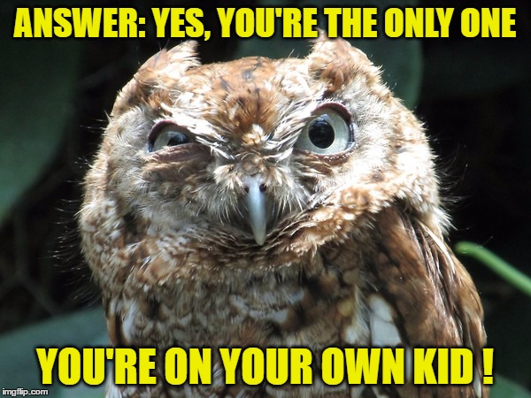 ANSWER: YES, YOU'RE THE ONLY ONE YOU'RE ON YOUR OWN KID ! | made w/ Imgflip meme maker