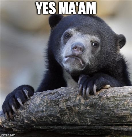 Confession Bear Meme | YES MA'AM | image tagged in memes,confession bear | made w/ Imgflip meme maker