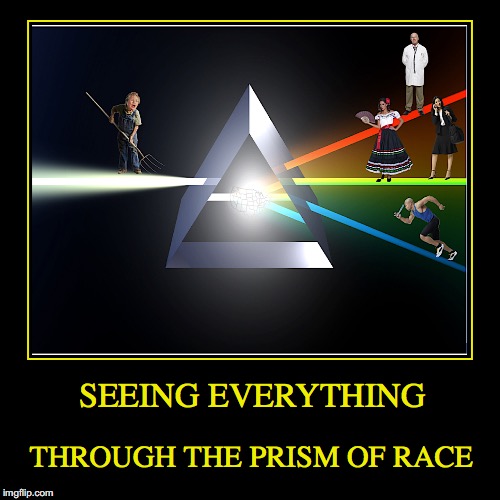 The Prism of Race | image tagged in funny,demotivationals,racism,hillary clinton 2016 | made w/ Imgflip demotivational maker
