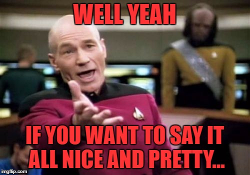 Picard Wtf Meme | WELL YEAH IF YOU WANT TO SAY IT ALL NICE AND PRETTY... | image tagged in memes,picard wtf | made w/ Imgflip meme maker