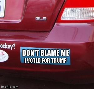 2017 - 2021 Highest selling bumper sticker | I VOTED FOR TRUMP; DON'T BLAME ME | image tagged in bumper sticker,trump,clinton | made w/ Imgflip meme maker