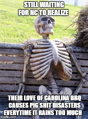 NC Hog Farm Floods | STILL WAITING FOR NC TO REALIZE; THEIR LOVE OF CAROLINA BBQ CAUSES PIG SHIT DISASTERS EVERYTIME IT RAINS TOO MUCH | image tagged in waiting skeleton,pigs,cruel,farm animals,north carolina,flooded | made w/ Imgflip meme maker