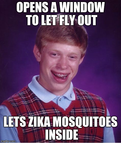 Bad Luck Brian Meme | OPENS A WINDOW TO LET FLY OUT LETS ZIKA MOSQUITOES INSIDE | image tagged in memes,bad luck brian | made w/ Imgflip meme maker