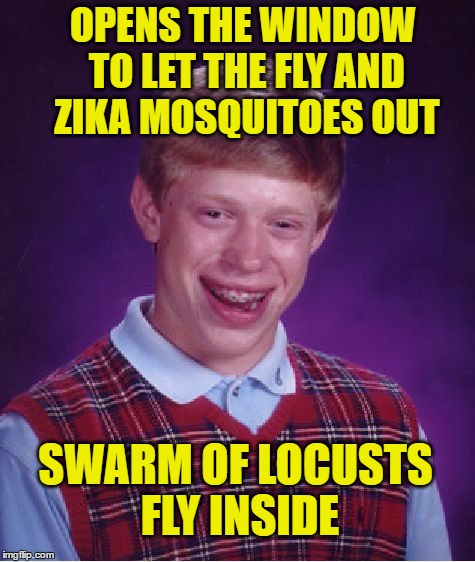 Bad Luck Brian Meme | OPENS THE WINDOW TO LET THE FLY AND ZIKA MOSQUITOES OUT SWARM OF LOCUSTS FLY INSIDE | image tagged in memes,bad luck brian | made w/ Imgflip meme maker