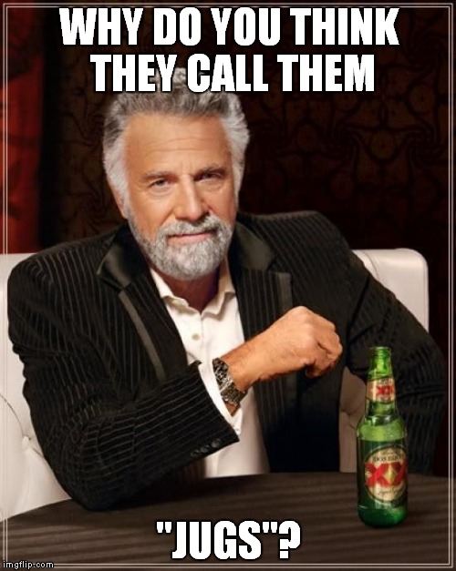 The Most Interesting Man In The World Meme | WHY DO YOU THINK THEY CALL THEM "JUGS"? | image tagged in memes,the most interesting man in the world | made w/ Imgflip meme maker