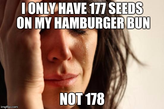 First World Problems | I ONLY HAVE 177 SEEDS ON MY HAMBURGER BUN; NOT 178 | image tagged in memes,first world problems | made w/ Imgflip meme maker