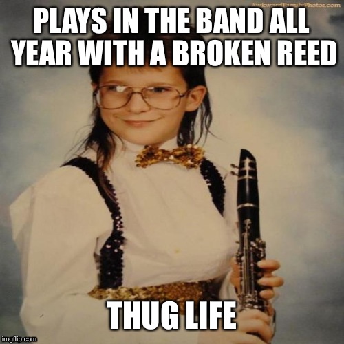 PLAYS IN THE BAND ALL YEAR WITH A BROKEN REED; THUG LIFE | image tagged in thug life,memes | made w/ Imgflip meme maker