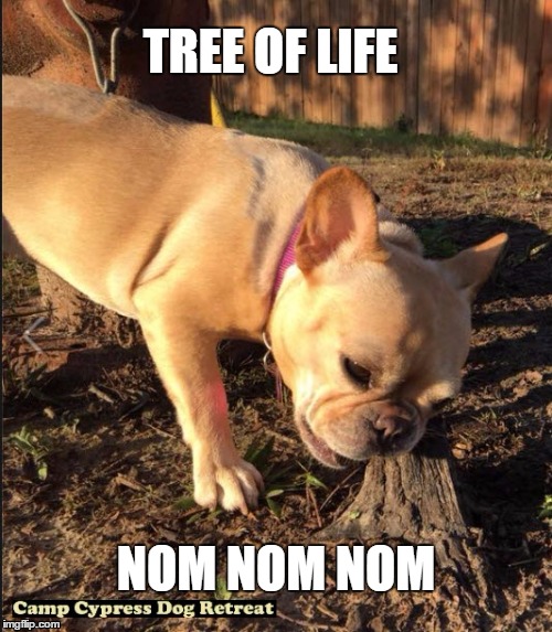 TREE OF LIFE; NOM NOM NOM | image tagged in funny dogs | made w/ Imgflip meme maker