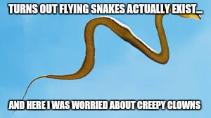 Flying snake  | TURNS OUT FLYING SNAKES ACTUALLY EXIST... AND HERE I WAS WORRIED ABOUT CREEPY CLOWNS | image tagged in creepy,clown,snakes,wtf,real life,original memes | made w/ Imgflip meme maker