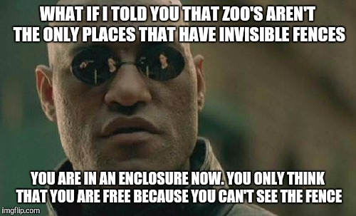 #Fedup | WHAT IF I TOLD YOU THAT ZOO'S AREN'T THE ONLY PLACES THAT HAVE INVISIBLE FENCES; YOU ARE IN AN ENCLOSURE NOW. YOU ONLY THINK THAT YOU ARE FREE BECAUSE YOU CAN'T SEE THE FENCE | image tagged in memes,matrix morpheus | made w/ Imgflip meme maker