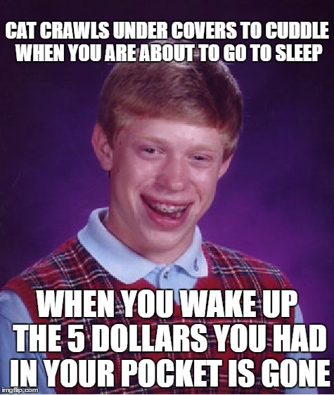 bad Luck Brian's cat | CAT CRAWLS UNDER COVERS TO CUDDLE WHEN YOU ARE ABOUT TO GO TO SLEEP; WHEN YOU WAKE UP THE 5 DOLLARS YOU HAD IN YOUR POCKET IS GONE | image tagged in memes,bad luck brian,cat memes,sleep,bed,cuddle | made w/ Imgflip meme maker