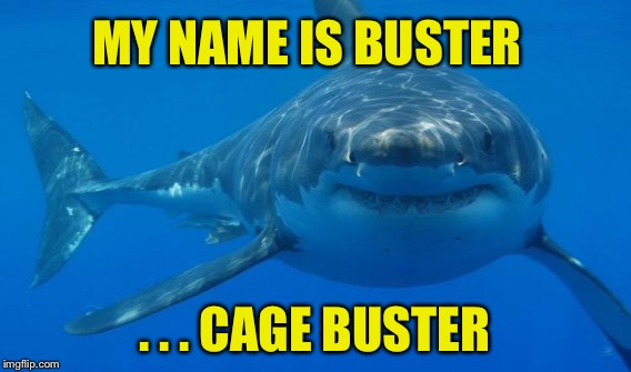 Buster the shark | MY NAME IS BUSTER; . . . CAGE BUSTER | image tagged in shark | made w/ Imgflip meme maker