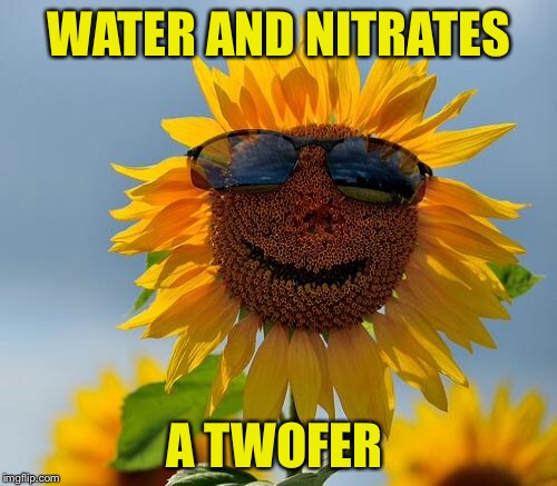WATER AND NITRATES A TWOFER | made w/ Imgflip meme maker