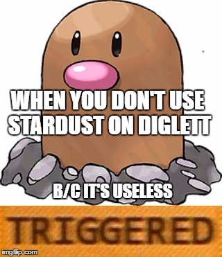 triggered diglett | WHEN YOU DON'T USE STARDUST ON DIGLETT; B/C IT'S USELESS | image tagged in triggered diglett | made w/ Imgflip meme maker
