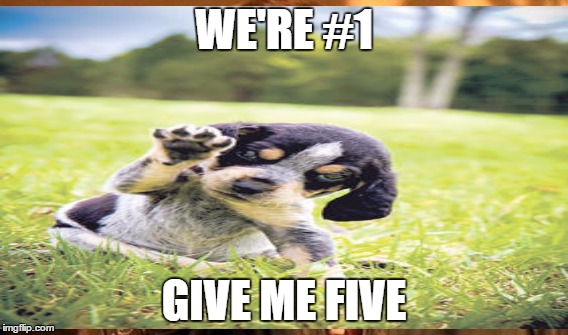 HIGH FIVE | WE'RE #1; GIVE ME FIVE | image tagged in cute puppy | made w/ Imgflip meme maker