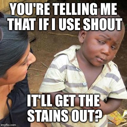 Third World Skeptical Kid | YOU'RE TELLING ME THAT IF I USE SHOUT; IT'LL GET THE STAINS OUT? | image tagged in memes,third world skeptical kid | made w/ Imgflip meme maker