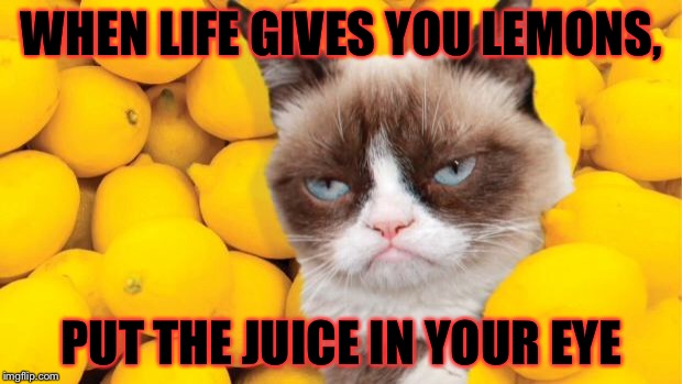 Grumpy Cat lemons | WHEN LIFE GIVES YOU LEMONS, PUT THE JUICE IN YOUR EYE | image tagged in grumpy cat lemons | made w/ Imgflip meme maker