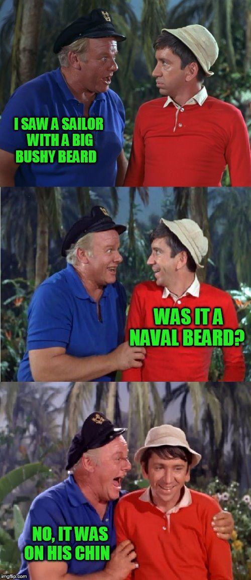 Gilligan Bad Pun | I SAW A SAILOR WITH A BIG BUSHY BEARD; WAS IT A NAVAL BEARD? NO, IT WAS ON HIS CHIN | image tagged in gilligan bad pun | made w/ Imgflip meme maker
