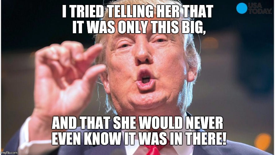 Donald Trump small brain | I TRIED TELLING HER THAT IT WAS ONLY THIS BIG, AND THAT SHE WOULD NEVER EVEN KNOW IT WAS IN THERE! | image tagged in donald trump small brain | made w/ Imgflip meme maker