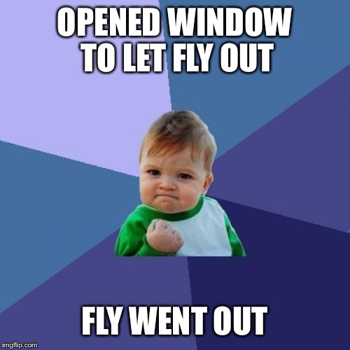 Success Kid | OPENED WINDOW TO LET FLY OUT; FLY WENT OUT | image tagged in memes,success kid | made w/ Imgflip meme maker