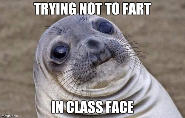 Awkward Moment Sealion Meme | TRYING NOT TO FART; IN CLASS FACE | image tagged in memes,awkward moment sealion | made w/ Imgflip meme maker