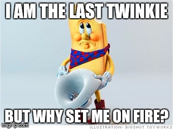 I AM THE LAST TWINKIE BUT WHY SET ME ON FIRE? | made w/ Imgflip meme maker