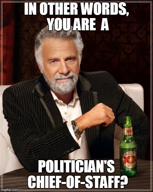 The Most Interesting Man In The World Meme | IN OTHER WORDS, YOU ARE  A POLITICIAN'S CHIEF-OF-STAFF? | image tagged in memes,the most interesting man in the world | made w/ Imgflip meme maker
