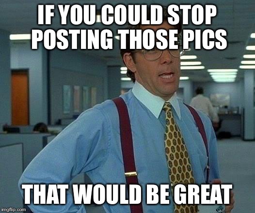 That Would Be Great Meme | IF YOU COULD STOP POSTING THOSE PICS; THAT WOULD BE GREAT | image tagged in memes,that would be great | made w/ Imgflip meme maker