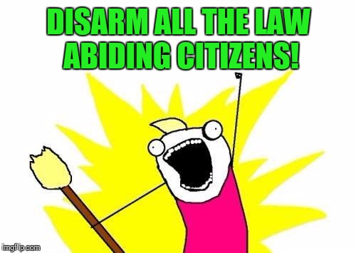 X All The Y Meme | DISARM ALL THE LAW ABIDING CITIZENS! | image tagged in memes,x all the y | made w/ Imgflip meme maker