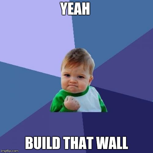 Success Kid Meme | YEAH; BUILD THAT WALL | image tagged in memes,success kid | made w/ Imgflip meme maker