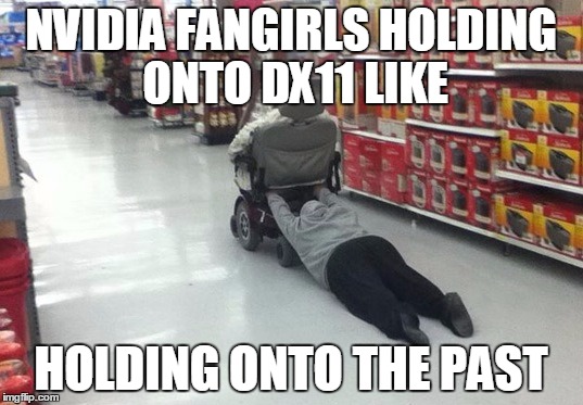 Holding on to the past | NVIDIA FANGIRLS HOLDING ONTO DX11 LIKE; HOLDING ONTO THE PAST | image tagged in holding on to the past | made w/ Imgflip meme maker