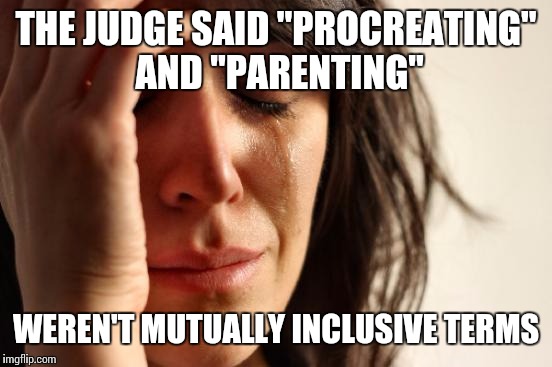First World Problems | THE JUDGE SAID "PROCREATING" AND "PARENTING"; WEREN'T MUTUALLY INCLUSIVE TERMS | image tagged in memes,first world problems | made w/ Imgflip meme maker