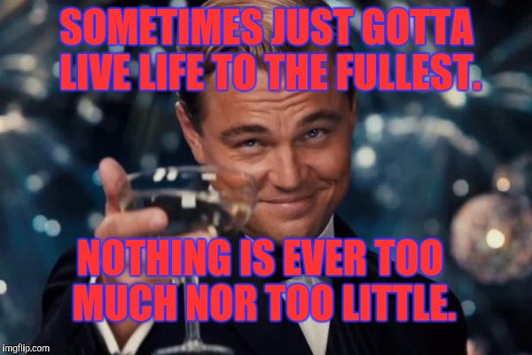 Leonardo Dicaprio Cheers Meme | SOMETIMES JUST GOTTA LIVE LIFE TO THE FULLEST. NOTHING IS EVER TOO MUCH NOR TOO LITTLE. | image tagged in memes,leonardo dicaprio cheers | made w/ Imgflip meme maker