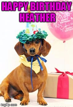 dachshund birthday  | HAPPY BIRTHDAY HEATHER | image tagged in dachshund birthday | made w/ Imgflip meme maker