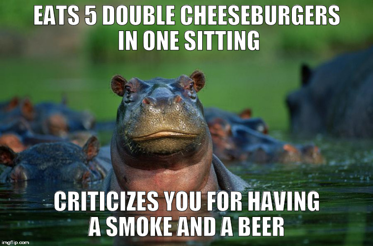 Hippopotacris much? | EATS 5 DOUBLE CHEESEBURGERS IN ONE SITTING; CRITICIZES YOU FOR HAVING A SMOKE AND A BEER | image tagged in criticism,hippopotamus,fat bastard | made w/ Imgflip meme maker