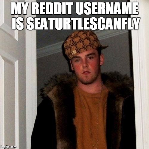 Scumbag Steve | MY REDDIT USERNAME IS SEATURTLESCANFLY | image tagged in memes,scumbag steve | made w/ Imgflip meme maker
