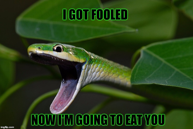 I GOT FOOLED NOW I'M GOING TO EAT YOU | made w/ Imgflip meme maker