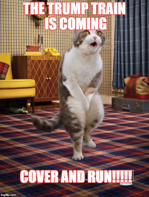 Gotta Go Cat | THE TRUMP TRAIN IS COMING; COVER AND RUN!!!!! | image tagged in memes,gotta go cat | made w/ Imgflip meme maker