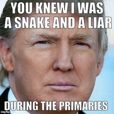 Don the Con | YOU KNEW I WAS A SNAKE AND A LIAR; DURING THE PRIMARIES | image tagged in don the con | made w/ Imgflip meme maker