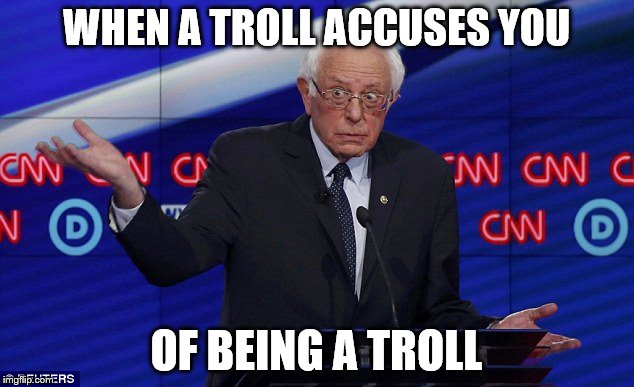 Wat Bernie | WHEN A TROLL ACCUSES YOU; OF BEING A TROLL | image tagged in wat bernie | made w/ Imgflip meme maker